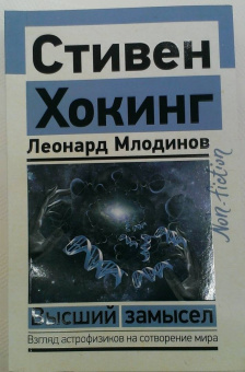 Хокинг, Млодинов: Высший замысел