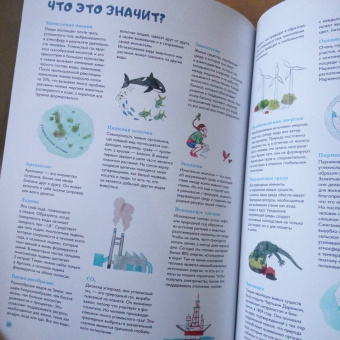 Амандин Тома: Через океаны