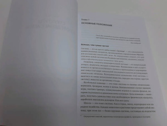 Донелла Медоуз: Азбука системного мышления