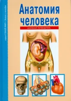 Сергей Афонькин: Анатомия человека. Школьный путеводитель