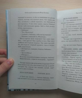 Александра Николаенко: Небесный почтальон Федя Булкин