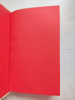 Сью Тань: Сердце Солнечного воина