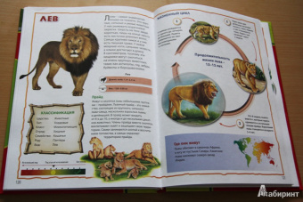 Моя первая книга о животных