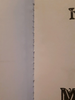 Ксения Баштовая: Марья-царевна из Детской Областной