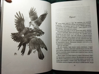 Джон Краули: Ка. Дарр Дубраули в руинах Имра