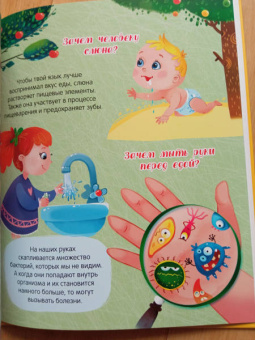 Тело человека