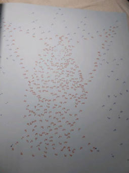 Екатерина Мирошникова: Зимняя сказка