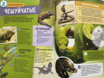 Животные. 250+ невероятных фактов. Энциклопедия в дополненной реальности