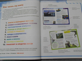 Вероника Пеллегрини: Вопросы и ответы обо всем на свете