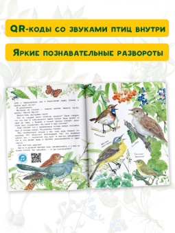 Николай Сладков: Лесные сказки