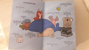 Брук Баркер: Грустные факты о детенышах