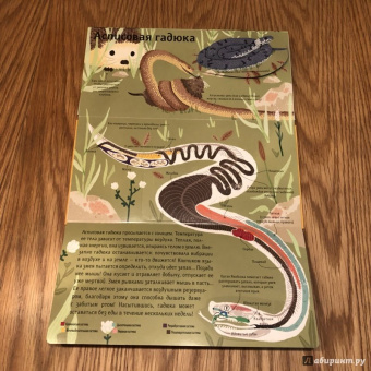 Боманн, Дюпон: Животные снаружи и внутри