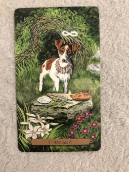 Конуэй, Найт, Мюллер: Комплект:  Таро магических собак+Таро Изменения Формы