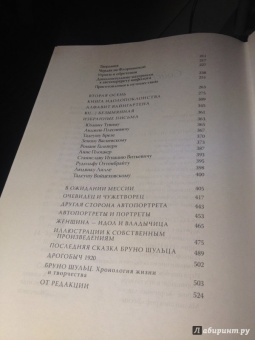 Ежи Фицовский: Регионы великой ереси и окрестности. Бруно Шульц и его мифология