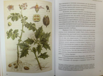 Майкл Аллаби: Скандальная правда о сексуальной жизни растений