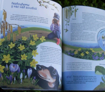 Юлия Смирнова: Природа в городе