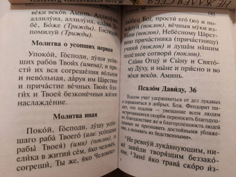 Псалтирь полная с толкованием, с поминовением живых и усопших, с указанием чтений на всякую потребу