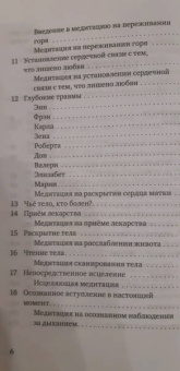 Стивен Левин: Исцеление в жизни и смерти