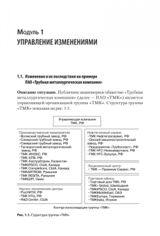 Сидорова, Костюхин, Тимохова: Жизненный цикл корпораций и управление изменениями. Учебное пособие