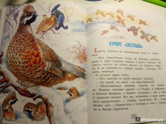 Николай Сладков: Сказки лесной опушки