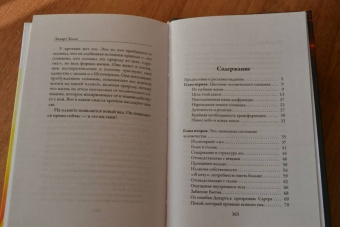 Экхарт Толле: Новая земля. Пробуждение к своей жизненной цели