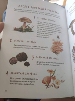 Михаил Вишневский: Грибы. Атлас-определитель