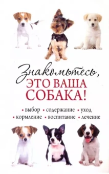 Знакомьтесь, это ваша собака!