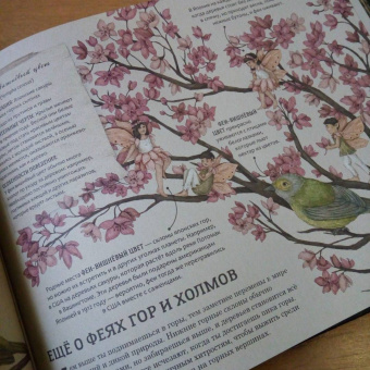 Секретная жизнь фей