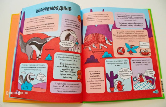 Noodle Fuel: Звери. От броненосца до зебры. Самые невероятные факты, рекорды и достижения
