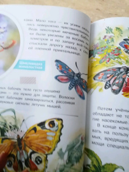 Виталий Танасийчук: Для чего коту усы?