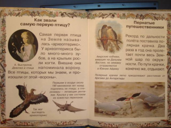 Валерий Роньшин: Птичьи секреты