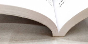 Пауло Коэльо: Мата Хари. Шпионка