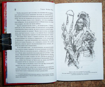 Рид Майн: Желтый вождь