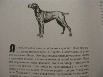 Элизабет Томас: Собаки и тайны, которые они скрывают. Легендарный бестселлер о сознании, поведении и привычках