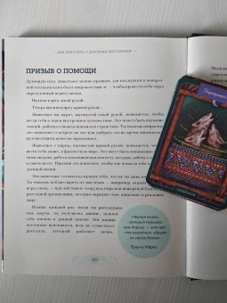 Майя Толл: Магический бестиарий. Вдохновляющие послания и ритуалы от 36 волшебных животных 36 карт и книга