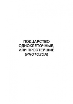 Блохин, Блохина: Практикум по зоологии. Учебное пособие для вузов