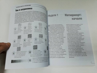 Баррингтон Барбер: Учимся рисовать за 6 недель. Материалы, техники, идеи