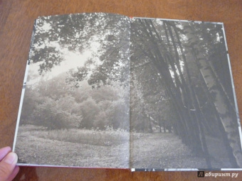 Валентин Катаев: Алмазный мой венец