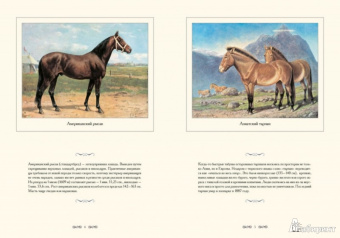 И. Афанасьева: Лошади