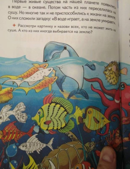 Самые удивительные рыбки