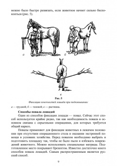 Анникова, Козлов: Клиническое исследование животных. Учебное пособие для СПО
