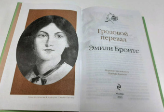 Эмили Бронте: Грозовой перевал