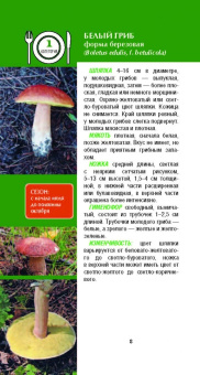 Матанцев, Матанцева: Самые распространенные грибы и их двойники съедобные, несъедобные, ядовитые