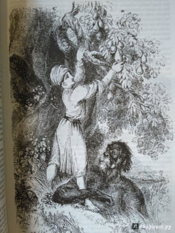 Арабские сказки. Книга тысячи и одной ночи. Полное иллюстрированное издание. В 2-х томах