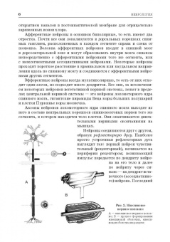 Зеленевский, Щипакин, Былинская: Анатомия животных. Неврология. Особенности строения домашней птицы. Практикум