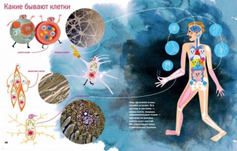 Егоров, Нечипоренко: Живой дом