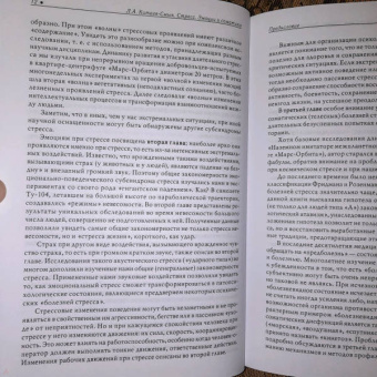 Леонид Китаев-Смык: Стресс. Эмоции и соматика