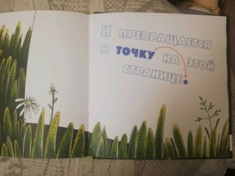 Ксения Горбунова: Точка растет