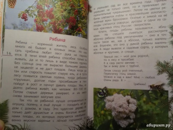 Петр Волцит: Ягоды и грибы