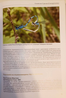 Онишко, Костерин: Стрекозы России. Иллюстрированный атлас-определитель